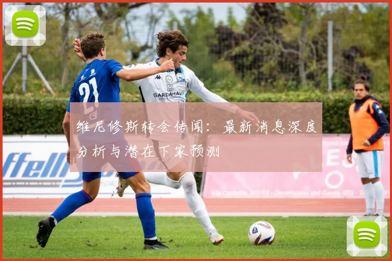 维尼修斯转会传闻：最新消息深度分析与潜在下家预测